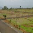 Available 5 Acre IT Approved Plot For Sale in Sector-18, Gurgaon  Office Space Sale Sector 18 Gurgaon